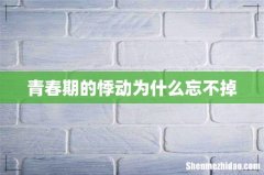 青春期的悸动为什么忘不掉