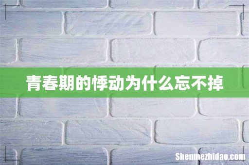 青春期的悸动为什么忘不掉