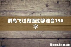 群鸟飞过湖面动静结合150字