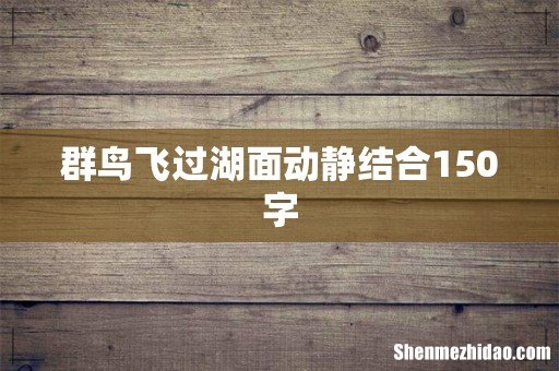 群鸟飞过湖面动静结合150字