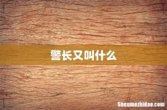 警长又叫什么