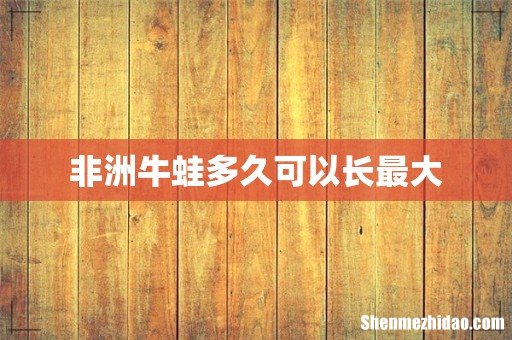非洲牛蛙多久可以长最大