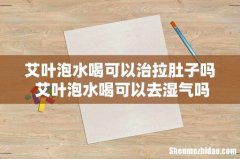 艾叶泡水喝可以治拉肚子吗 艾叶泡水喝可以去湿气吗
