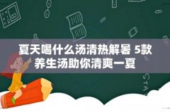 夏天喝什么汤清热解暑 5款养生汤助你清爽一夏