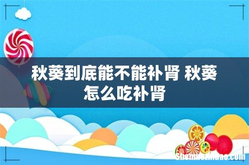 秋葵到底能不能补肾 秋葵怎么吃补肾