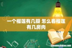 一个榴莲有几瓣 怎么看榴莲有几房肉