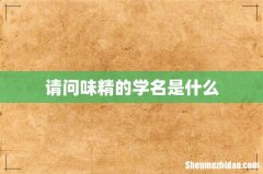 请问味精的学名是什么
