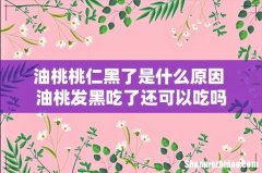 油桃桃仁黑了是什么原因 油桃发黑吃了还可以吃吗