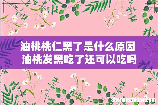 油桃桃仁黑了是什么原因 油桃发黑吃了还可以吃吗