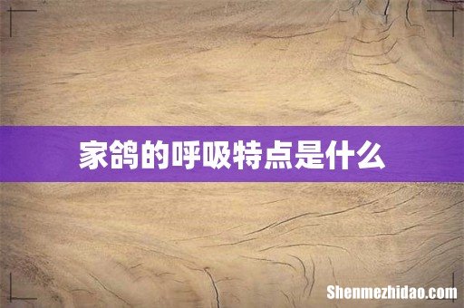 家鸽的呼吸特点是什么