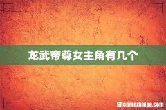 龙武帝尊女主角有几个