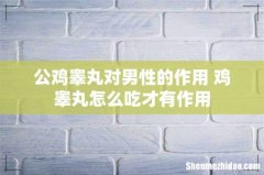 公鸡睾丸对男性的作用 鸡睾丸怎么吃才有作用