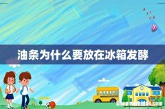油条为什么要放在冰箱发酵