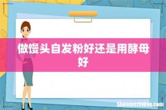 做馒头自发粉好还是用酵母好