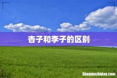 杏子和李子的区别