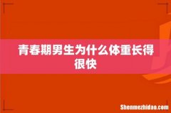 青春期男生为什么体重长得很快