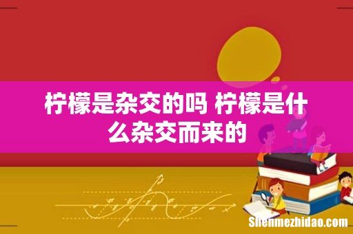 柠檬是杂交的吗 柠檬是什么杂交而来的