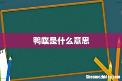 鸭噗是什么意思