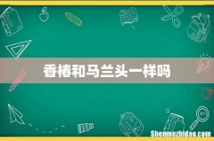 香椿和马兰头一样吗