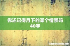 你还记得月下的某个情景吗40字