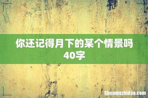 你还记得月下的某个情景吗40字
