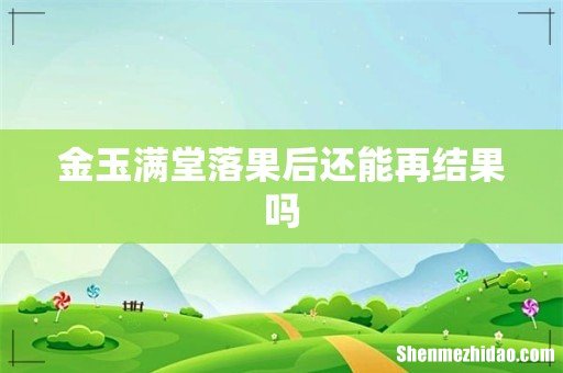 金玉满堂落果后还能再结果吗
