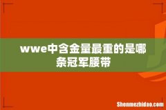 wwe中含金量最重的是哪条冠军腰带