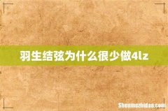 羽生结弦为什么很少做4lz