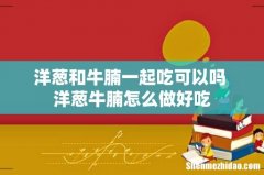 洋葱和牛腩一起吃可以吗 洋葱牛腩怎么做好吃