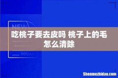 吃桃子要去皮吗 桃子上的毛怎么清除
