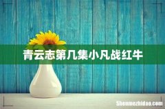 青云志第几集小凡战红牛