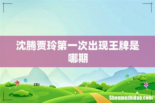 沈腾贾玲第一次出现王牌是哪期