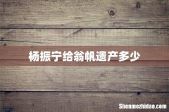 杨振宁给翁帆遗产多少