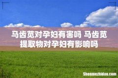 马齿苋对孕妇有害吗 马齿苋提取物对孕妇有影响吗