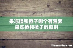 果冻橙和橙子哪个有营养 果冻橙和橙子的区别