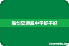 融创史迪威中学好不好
