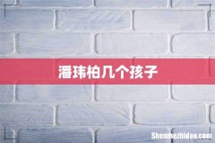 潘玮柏几个孩子