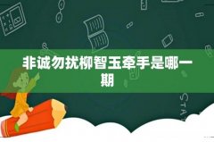 非诚勿扰柳智玉牵手是哪一期