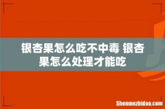 银杏果怎么吃不中毒 银杏果怎么处理才能吃
