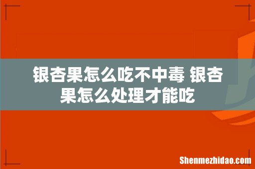 银杏果怎么吃不中毒 银杏果怎么处理才能吃