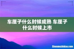 车厘子什么时候成熟 车厘子什么时候上市