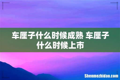 车厘子什么时候成熟 车厘子什么时候上市