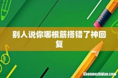 别人说你哪根筋搭错了神回复