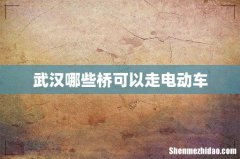武汉哪些桥可以走电动车