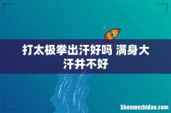 打太极拳出汗好吗 满身大汗并不好