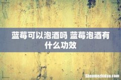 蓝莓可以泡酒吗 蓝莓泡酒有什么功效