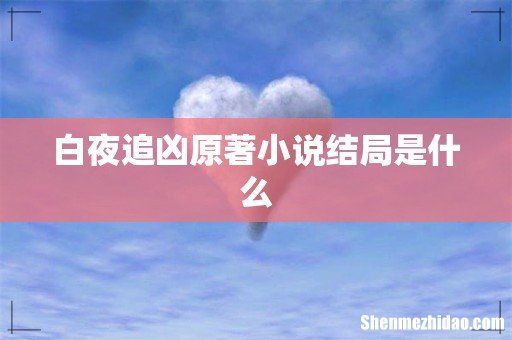 白夜追凶原著小说结局是什么