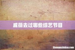 戚薇去过哪些综艺节目