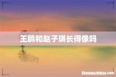 王鸥和赵子琪长得像吗