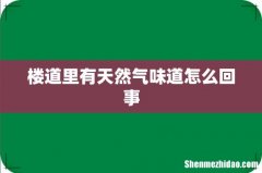 楼道里有天然气味道怎么回事
